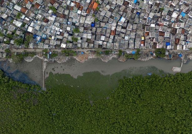 The nurturing wetland by Rakesh Pulapa ( Rakesh Pulapa/Wildlife Photographer of the Year)
