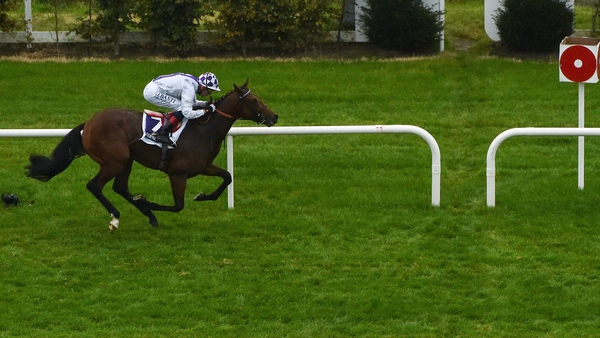 Poetic Flare is unbeaten in two starts at Leopardstown