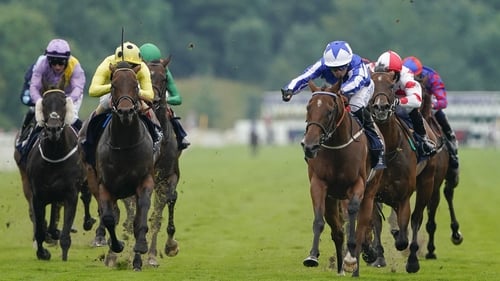 Winter Power will travel to Ireland before moving on to the Prix de l'Abbaye