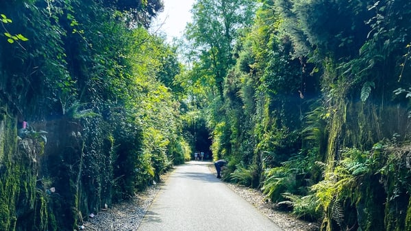 Patrick and Russell of The GastroGays share their top tips for a memorable trip on the Waterford Greenway.