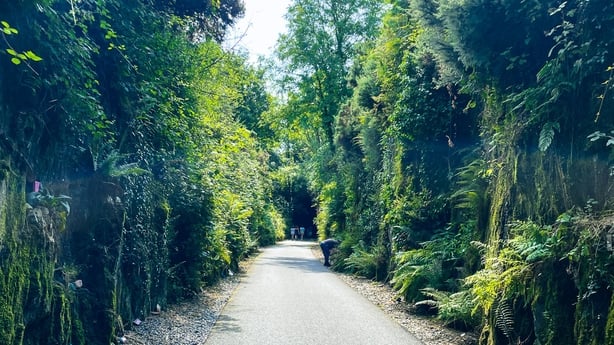 Scopri la Waterford Greenway