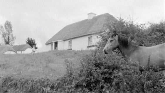 Thatched Cottage in Broadford (1971)