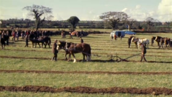 National Ploughing Championships in Wexfod (1976)