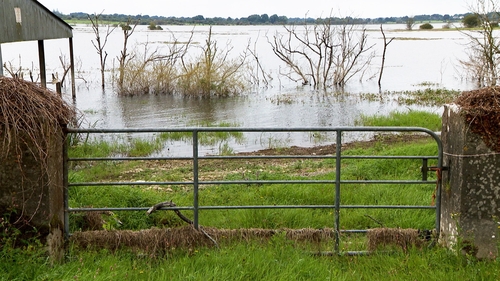 Fresh Judicial Review Over Lough Funshinagh Flood Pipe