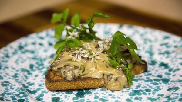 Creamy mushrooms are the ideal midday snack, and can be made into a stunning dinner.
