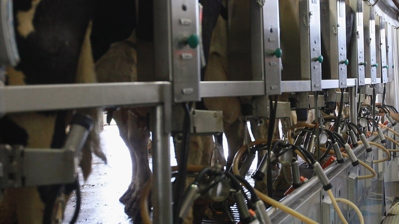 Thousands of litres of milk destroyed in UK