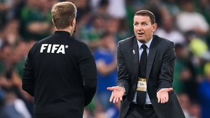 Northern Ireland manager Ian Baraclough remonstrates with fourth official Markus Hameter