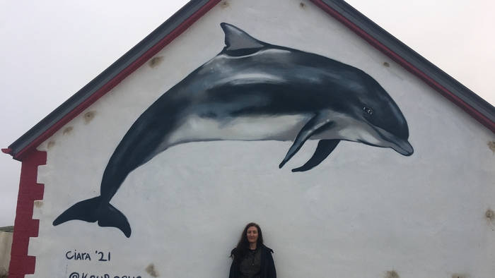 Fungie the dolphin remembered in west Kerry