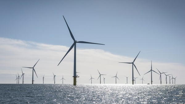 Offshore wind projects due to compete in an auction next month still have no idea if any Irish ports will be available to construct the wind farms, the report states