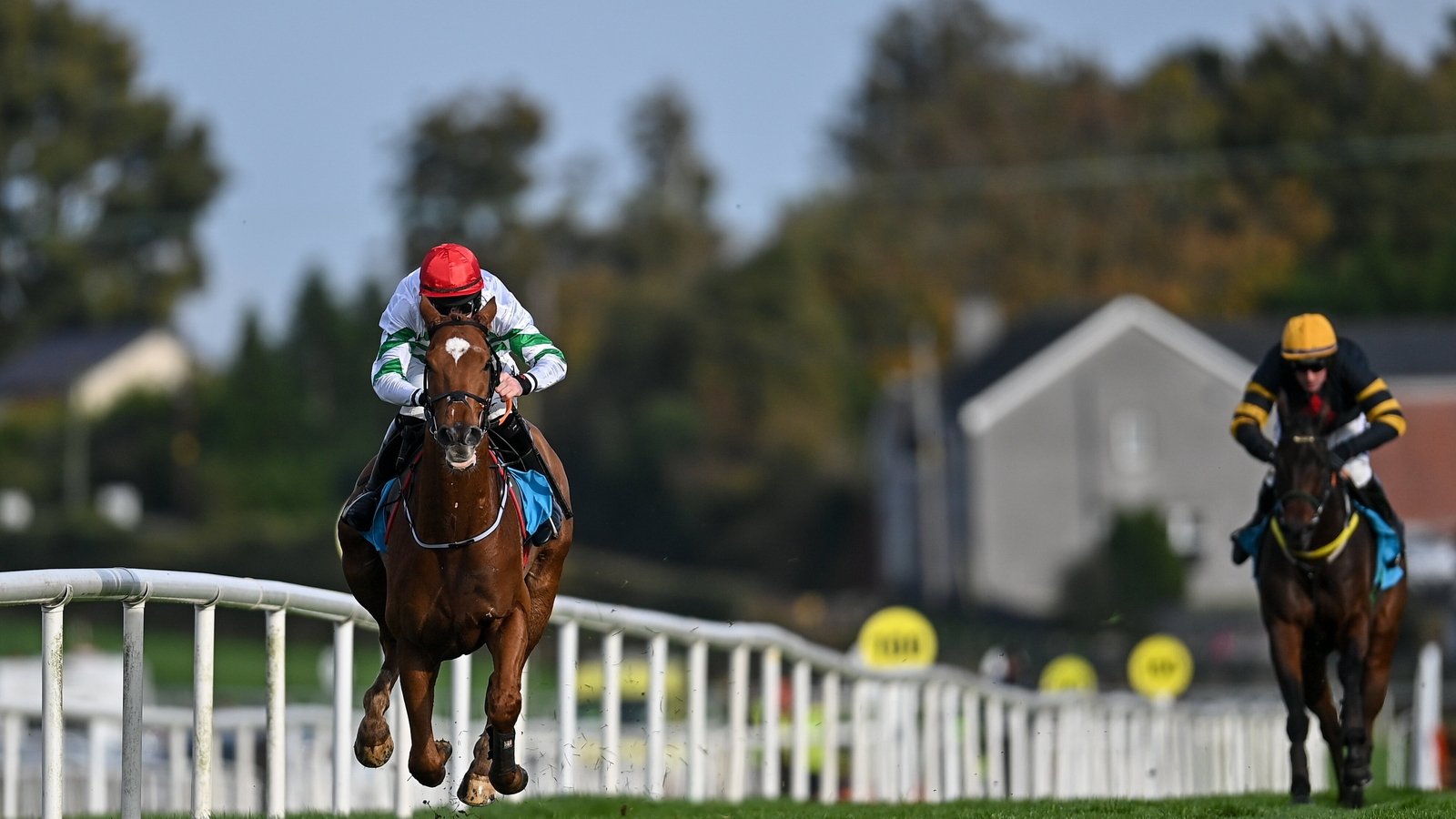 Zanahiyr eases to victory in WKD Hurdle at Down Royal