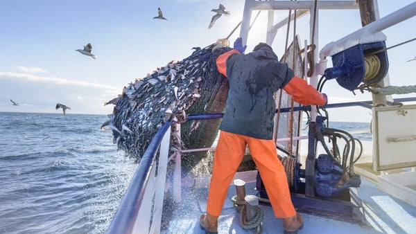 The fishermen are concerned about the impact of the exercises on fish stocks