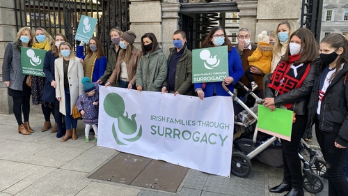 Families protested outside Leinster House over the slow pace of progress
