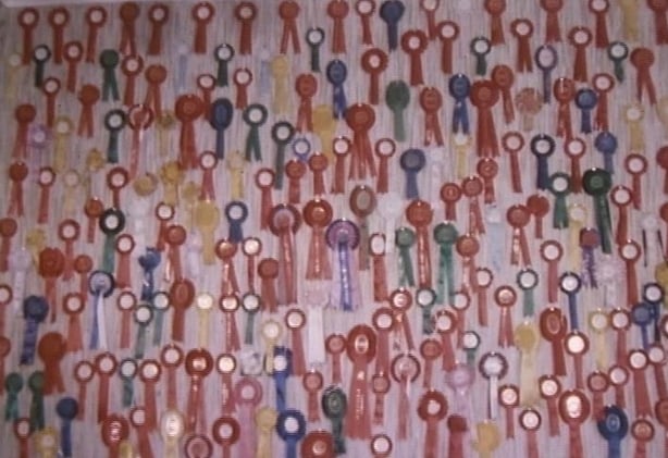 Sinéad Slattery's Rosettes