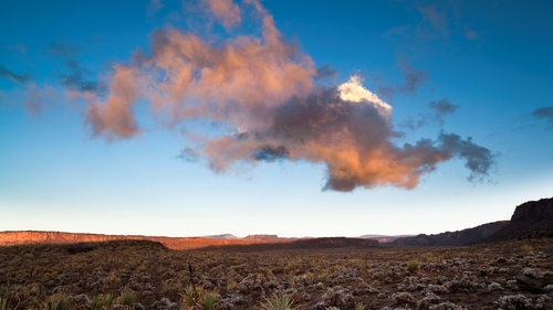 Sunset on the Bale Mountains in Ethiopia. Archaeological sites show humans lived at such high altitudes in resource-poor glaciated landscapes by hunting giant-mole rats. Photo: Martin Zwick/REDA&CO/Universal Images Group via Getty Images