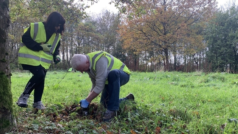 Urgent action required to incentivise increased tree planting - CCAC