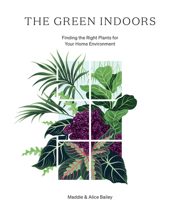 The Green Indoors by Maddie & Alice Bailey (Hardie Grant/PA)