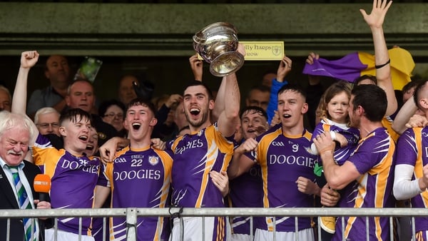 Derrygonnelly Harps are champions again (file pic)