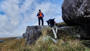 'It takes years of experience, dedication and a lot of scientific knowledge, to train and work a search dog'. Photo: SARDA Ireland