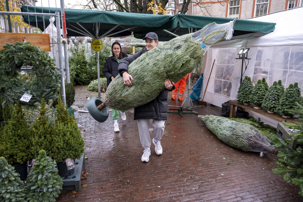 Rent A Christmas Tree The Ray D'Arcy Show RTÉ Radio 1