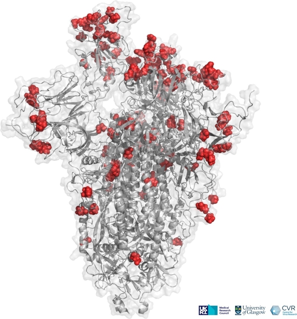 Illustration of Omicron mutations, highlighted in red
