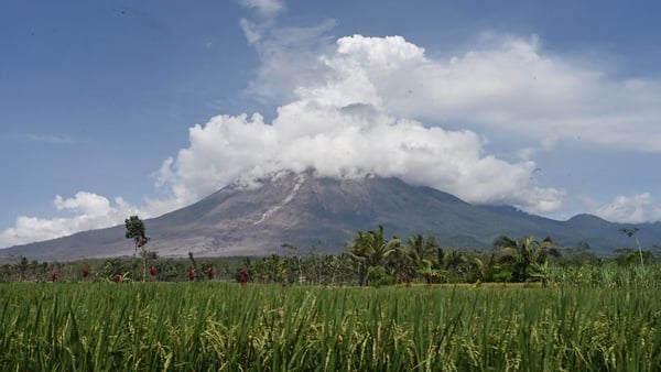 Mount Semeru on Saturday ejected a mushroom of volcanic ash high into the sky and rained hot mud as thousands of panicked people fled their homes