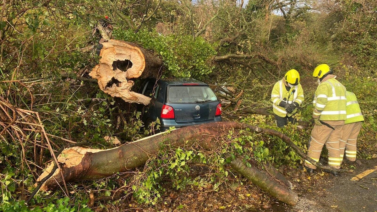 The fire service responds to an accident in Newcastle, Co Wicklow this morning (Photo: Wicklow Fire Service)