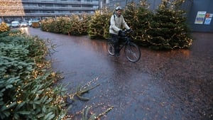 Green Party Minister for the Environment Eamon Ryan cycles past fallen Christmas trees at Dublin Castle