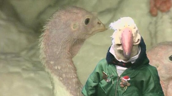 Dustin The Turkey (1996)