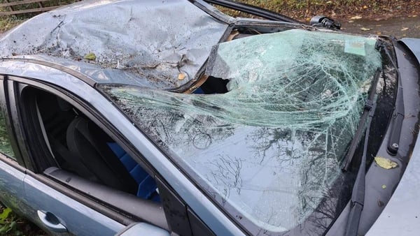 The tree crushed the windscreen on Iva Hruskova's car in Wicklow this morning