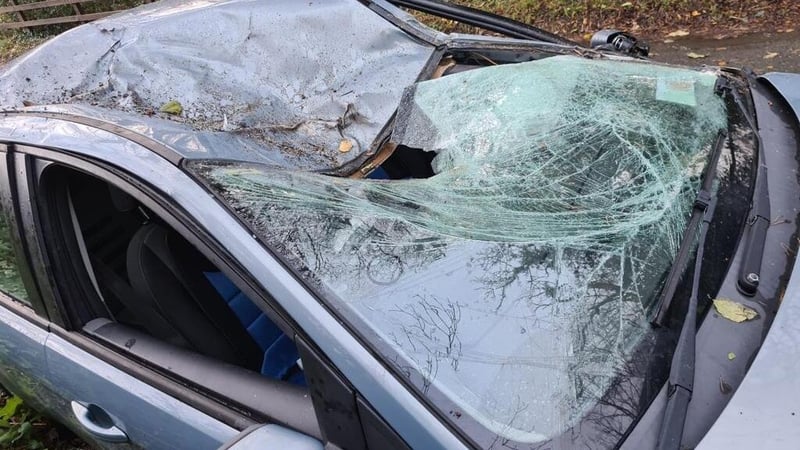 'Lucky to be alive' - Nurse escapes as tree hits car