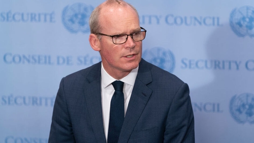 Simon Coveney said the resolution had been 'vetoed for now'