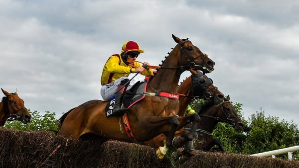 Freewheelin Dylan is on the hunt for a Grand National double