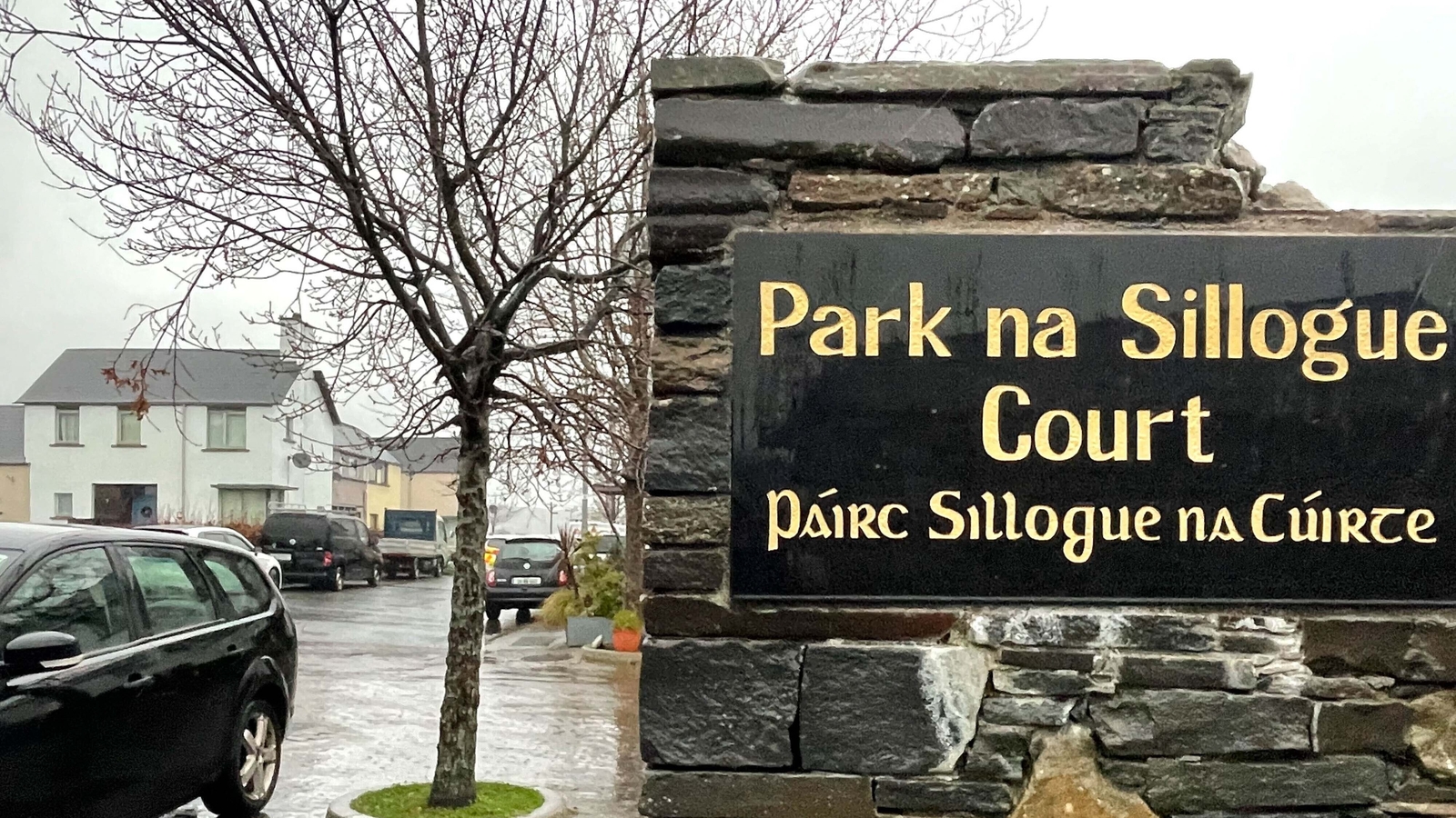 Man arrested over Wicklow death remains in custody