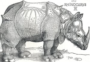 A Mooney Goes wild Speical: Dürer's Rhinoceros
