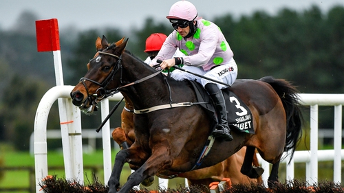 Patrick Mullins rode Sharjah to victory at Punchestown in November