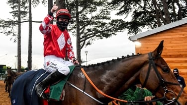 Mighty Potter wins the Future Champions Novice Hurdle at Leopardstown