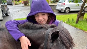 "Fred just loves Aoibhinn. He's so excited to see her." Equine Therapy on The Ryan Tubridy Show
