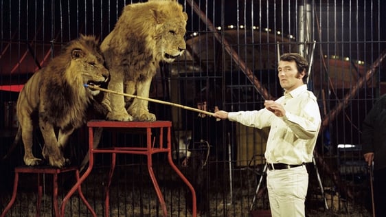 Mike Murphy Lion Tamer at Fossett's Circus.