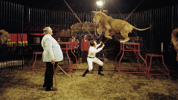Mike Murphy performs a lion taming act in Fossett's Circus