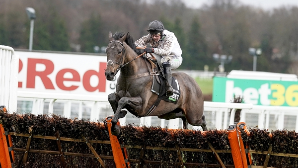 Constitution Hill sparkled on his seasonal debut