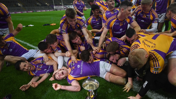 Kilmacud Crokes players celebrate their success.