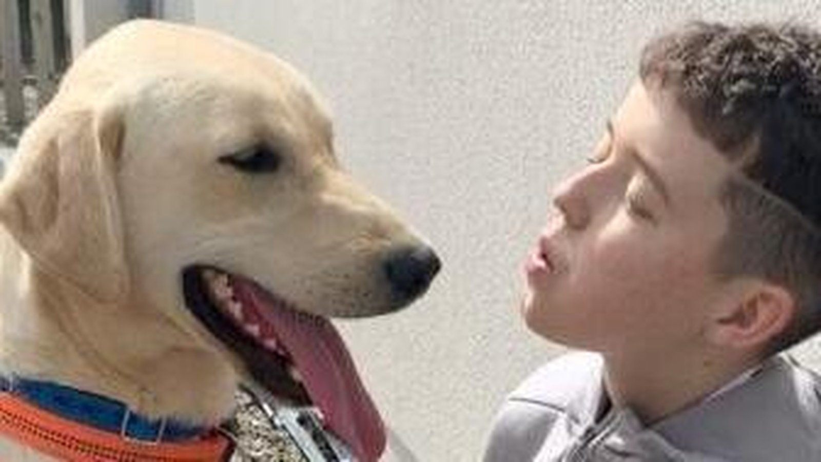 A dog's love brings Cian's Kennels to CHI Crumlin