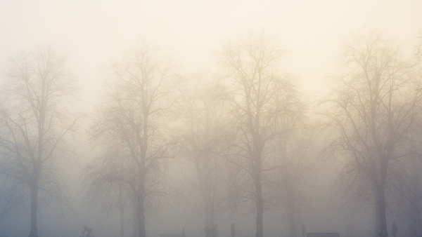 Dense fog in Leinster and Munster overnight (stock image)