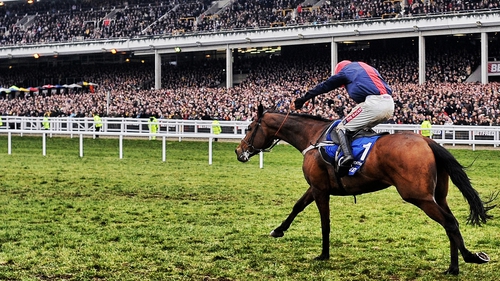 Barry Geraghty and Bobs Worth en route to winning the 2013 Cheltenham Gold Cup.