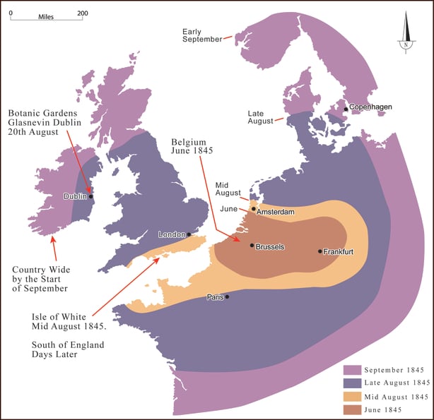 irish potato famine immigration map