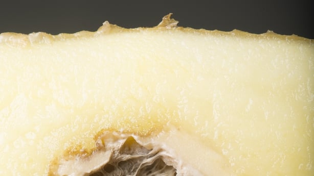 Rotten potato