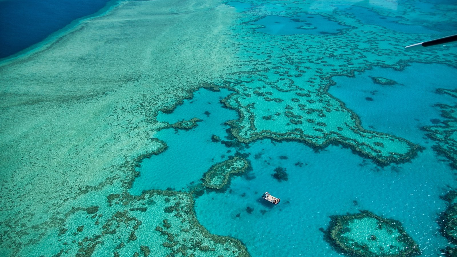 Billion Dollar Plan Aims To Protect Great Barrier Reef
