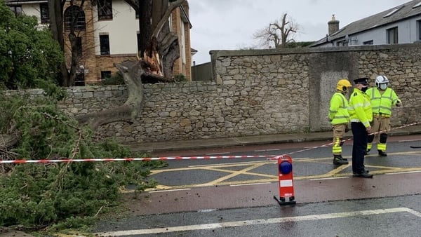 A tree was felled during high winds in Dublin this afternoon