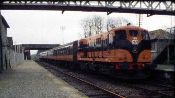 Ferns Railway Station in County Wexford, 1977.