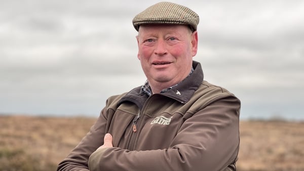 Pat Feehily is project manager of Ballydangan Bog Red Grouse Project